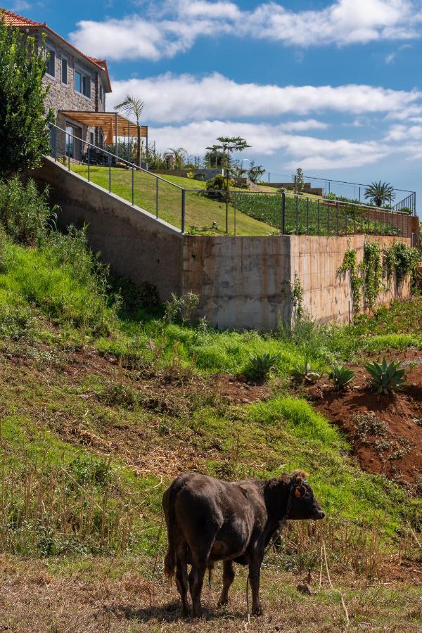 Villa Fauna - Nature & Tranquility - Heated Pool Optional 普拉泽里什 外观 照片